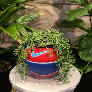 Basketball Planter